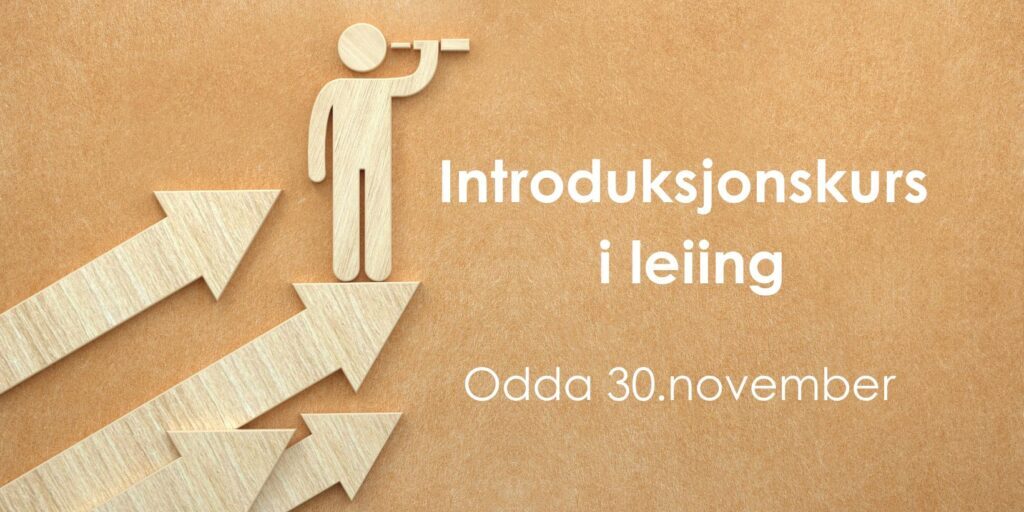 Introduksjonskurs i leijing-4